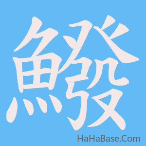 《鱍》的筆順動畫寫字動畫演示