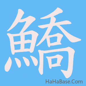 《鱎》的筆順動畫寫字動畫演示