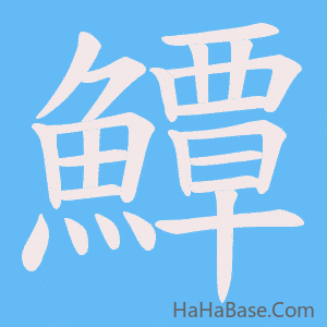 《鱏》的筆順動畫寫字動畫演示