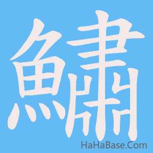 《鱐》的筆順動畫寫字動畫演示