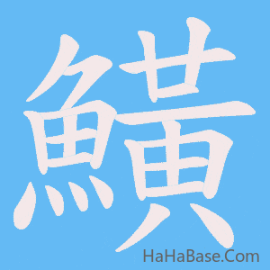 《鱑》的筆順動畫寫字動畫演示