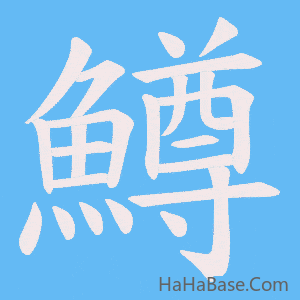 《鱒》的筆順動畫寫字動畫演示