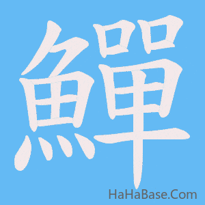 《鱓》的筆順動畫寫字動畫演示
