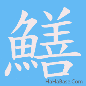 《鱔》的筆順動畫寫字動畫演示