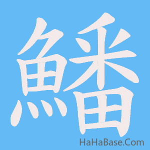 《鱕》的筆順動畫寫字動畫演示