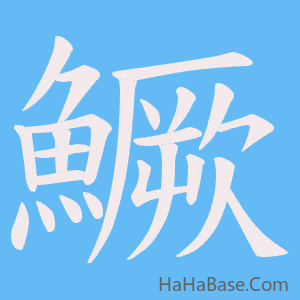 《鱖》的筆順動畫寫字動畫演示