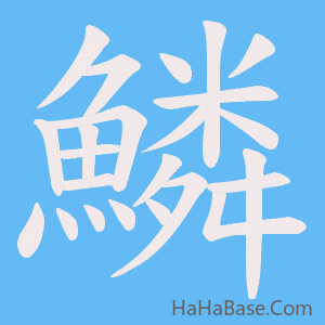 《鱗》的筆順動畫寫字動畫演示