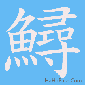《鱘》的筆順動畫寫字動畫演示