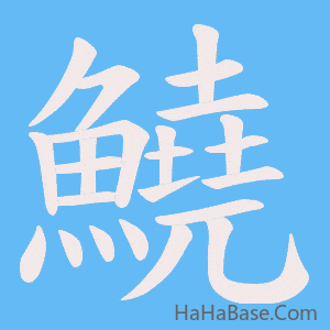 《鱙》的筆順動畫寫字動畫演示