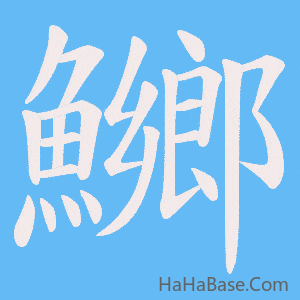 《鱜》的筆順動畫寫字動畫演示