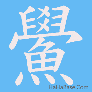 《鱟》的筆順動畫寫字動畫演示