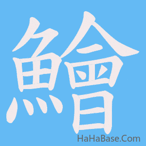 《鱠》的筆順動畫寫字動畫演示