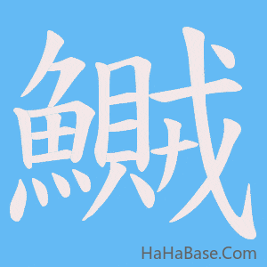《鱡》的筆順動畫寫字動畫演示