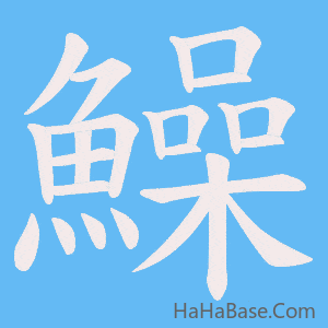 《鱢》的筆順動畫寫字動畫演示
