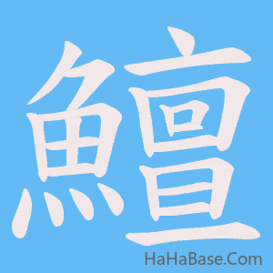 《鱣》的筆順動畫寫字動畫演示