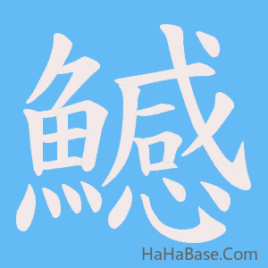 《鱤》的筆順動畫寫字動畫演示