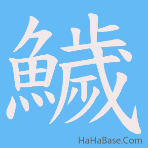 《鱥》的筆順動畫寫字動畫演示
