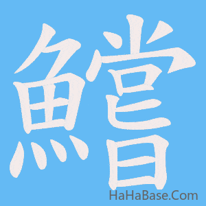 《鱨》的筆順動畫寫字動畫演示