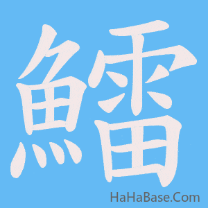 《鱩》的筆順動畫寫字動畫演示