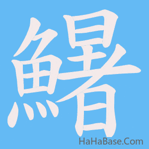 《鱪》的筆順動畫寫字動畫演示