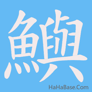 《鱮》的筆順動畫寫字動畫演示