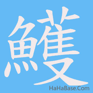 《鱯》的筆順動畫寫字動畫演示