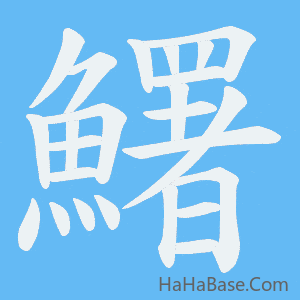 《鱰》的筆順動畫寫字動畫演示