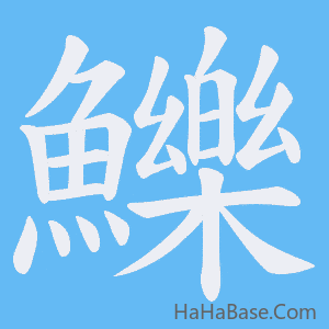 《鱳》的筆順動畫寫字動畫演示