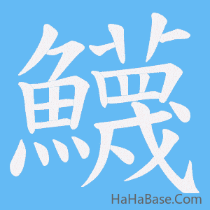 《鱴》的筆順動畫寫字動畫演示