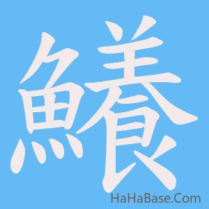 《鱶》的筆順動畫寫字動畫演示