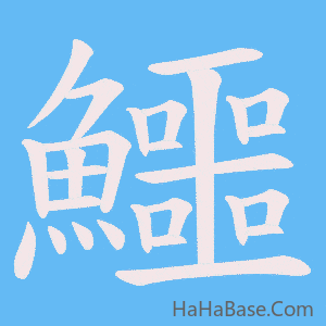 《鱷》的筆順動畫寫字動畫演示