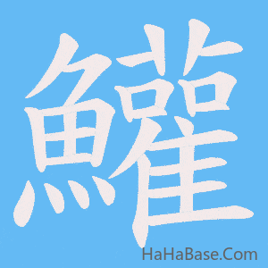 《鱹》的筆順動畫寫字動畫演示