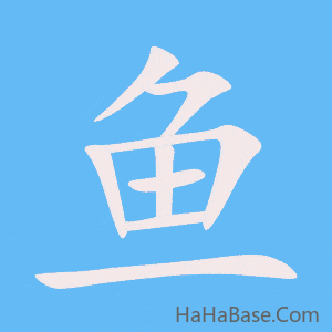 《鱼》的筆順動畫寫字動畫演示