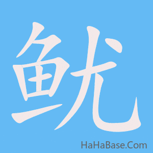 《鱿》的筆順動畫寫字動畫演示