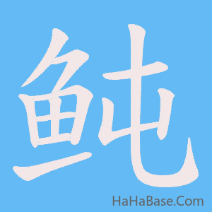《鲀》的筆順動畫寫字動畫演示