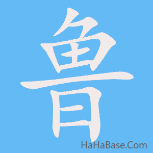 《鲁》的筆順動畫寫字動畫演示