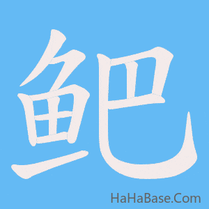 《鲃》的筆順動畫寫字動畫演示