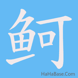 《鲄》的筆順動畫寫字動畫演示