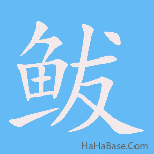 《鲅》的筆順動畫寫字動畫演示