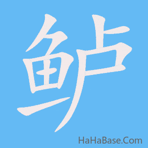 《鲈》的筆順動畫寫字動畫演示