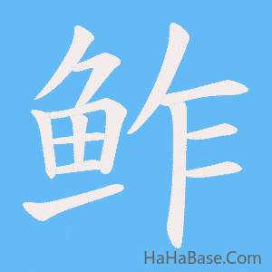 《鲊》的筆順動畫寫字動畫演示
