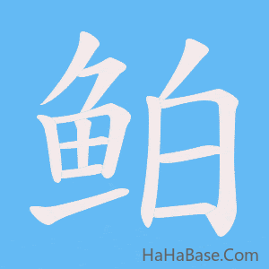 《鲌》的筆順動畫寫字動畫演示