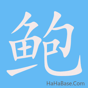 《鲍》的筆順動畫寫字動畫演示