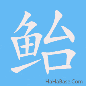 《鲐》的筆順動畫寫字動畫演示