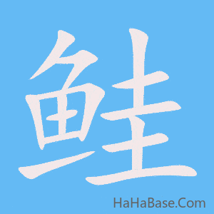 《鲑》的筆順動畫寫字動畫演示