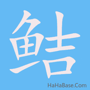 《鲒》的筆順動畫寫字動畫演示