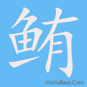 《鲔》的筆順動畫寫字動畫演示