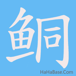 《鲖》的筆順動畫寫字動畫演示
