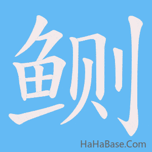 《鲗》的筆順動畫寫字動畫演示