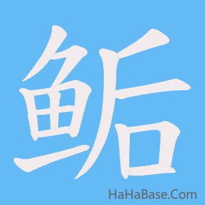 《鲘》的筆順動畫寫字動畫演示